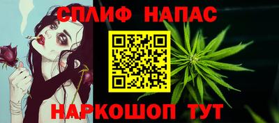 индика Обнинск