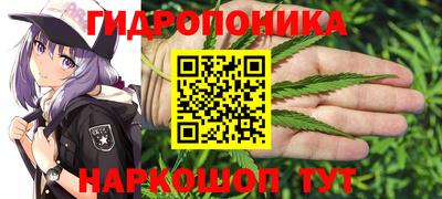 винт Обь