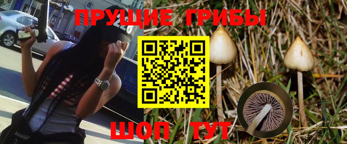 Галлюциногенные грибы MAGIC MUSHROOMS  Галлюциногенные грибы ЛСД  Вход с VPN  Троицк 