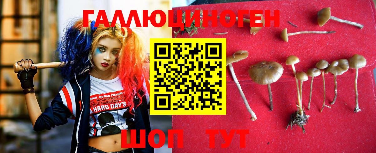 Галлюциногенные грибы ЛСД Троицк